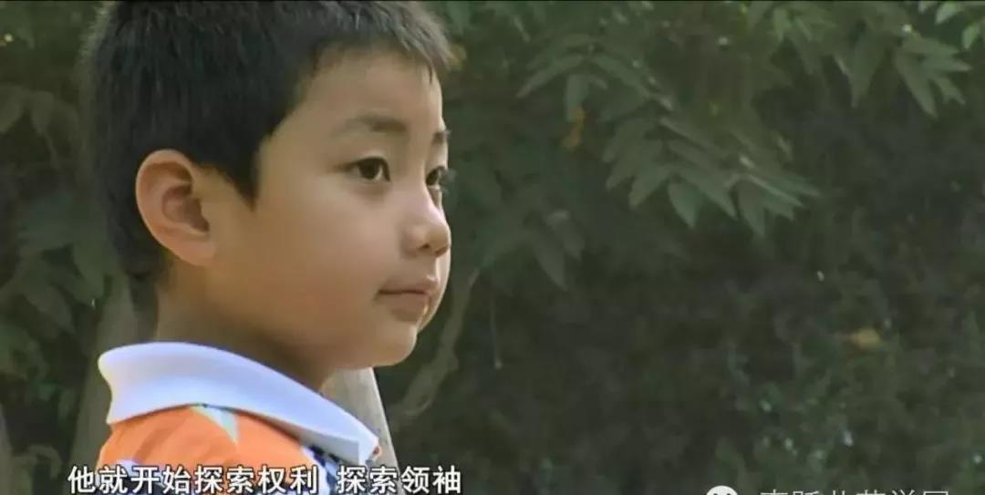 被勒令退学的小恶霸，12年后成了为国争光的英雄：是什么成就了他