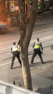 波士顿恐袭事件中国华人,波士顿恐袭事件华裔