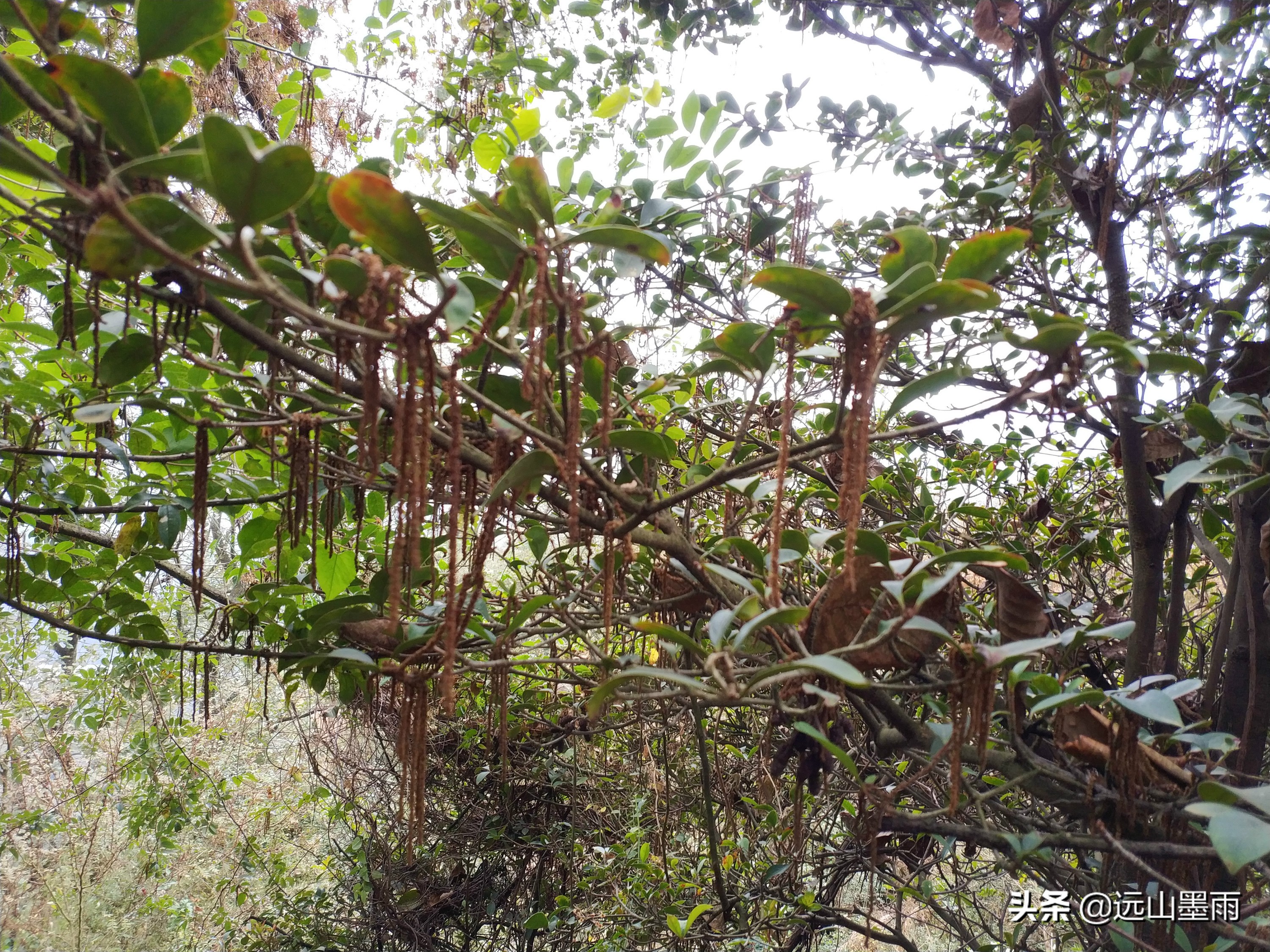 西山旅游公路穿越攻略,昆明西山爬山攻略最佳线路