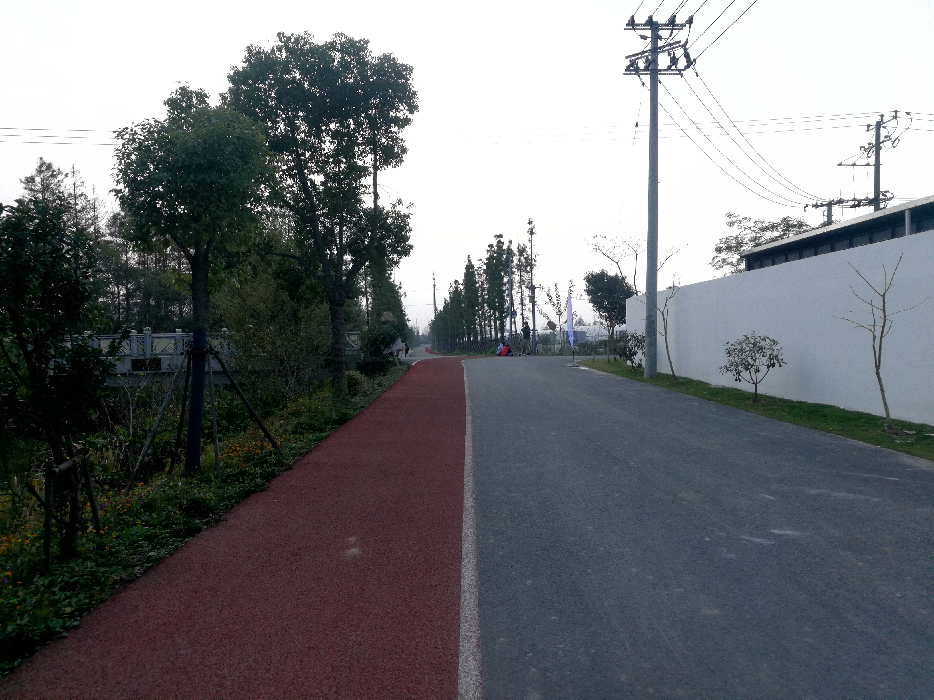 上海长兴岛郊野公园可以看见海吗,长兴岛郊野公园离上海站有几公里