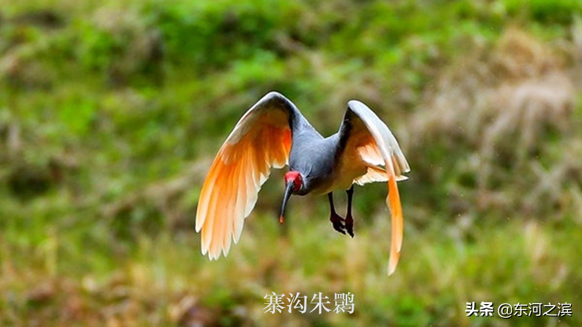 210国道秦岭沣峪口段好不好走,宁陕县自驾游翻越秦岭最佳路线图