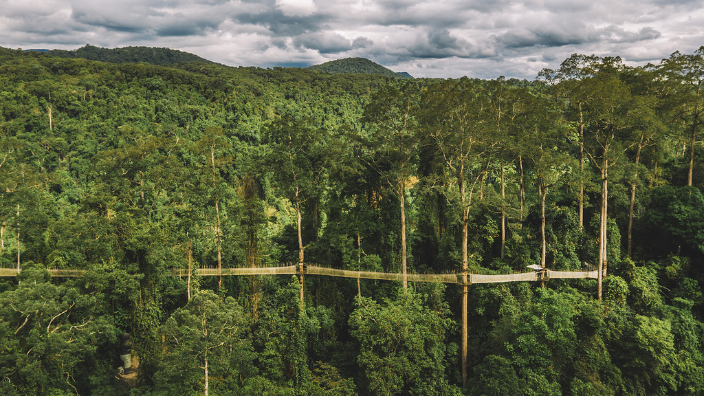 西双版纳泼水节野象谷,西双版纳旅游野象谷全攻略
