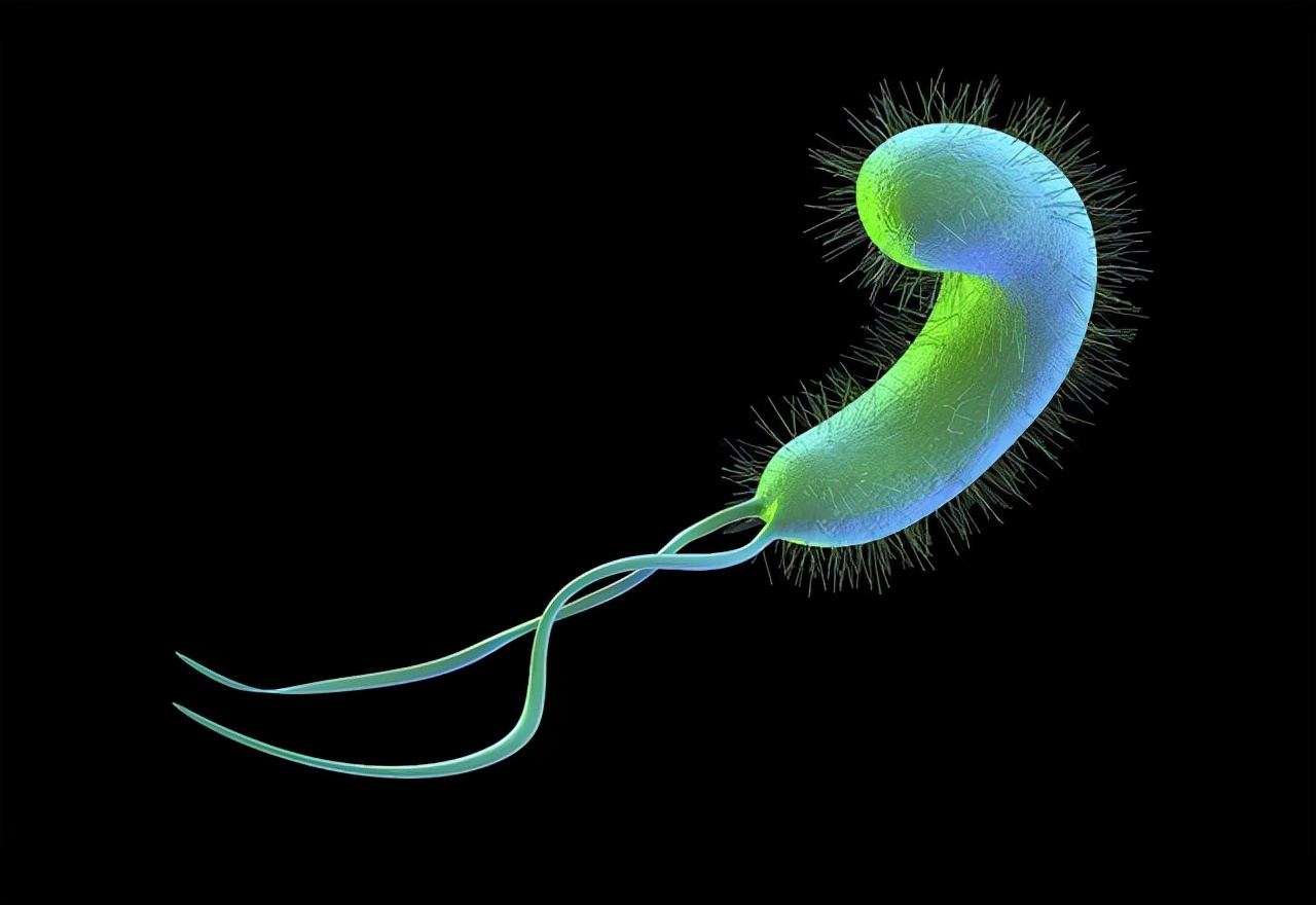 2块钱一袋的甲硝唑有副作用吗,平价药甲硝唑用处真不少