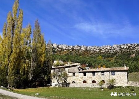 大学生农村创业好项目推荐,大学生创业计划书农业