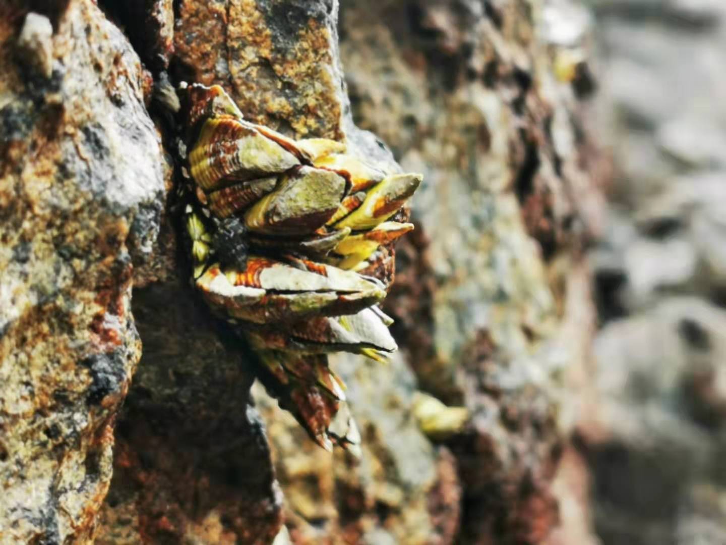 深圳马尔代夫游,深圳三门岛马尔代夫