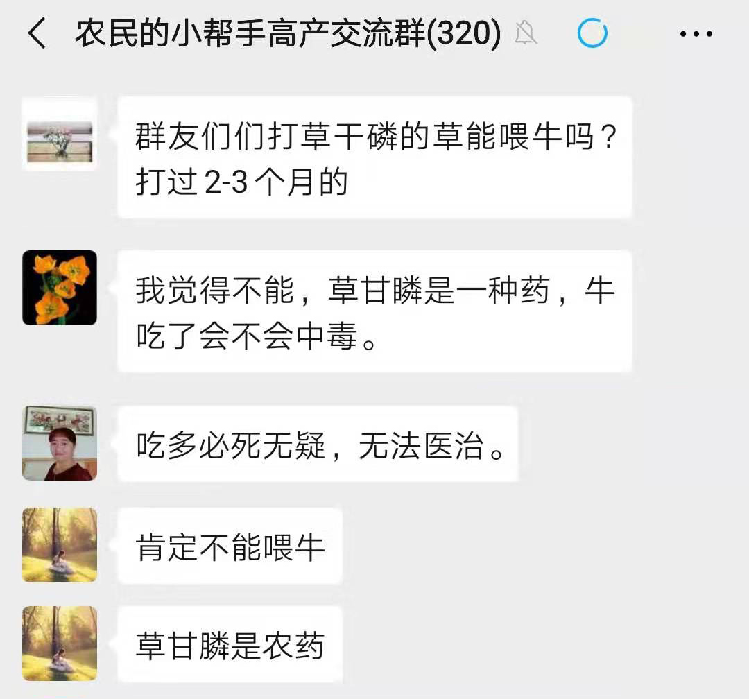 一位养殖户问:打过草甘膦的杂草,还能喂牛吗?你会如何回答?