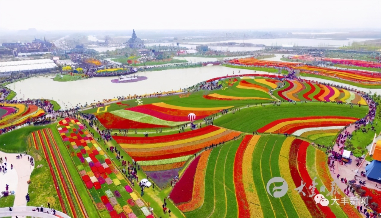 盐城面朝大海向未来,踏浪前行逐梦未来