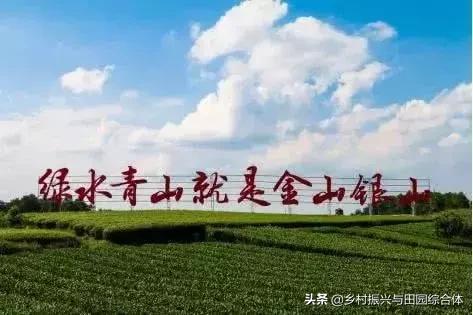 农学院对乡村振兴的促进作用,半农学院