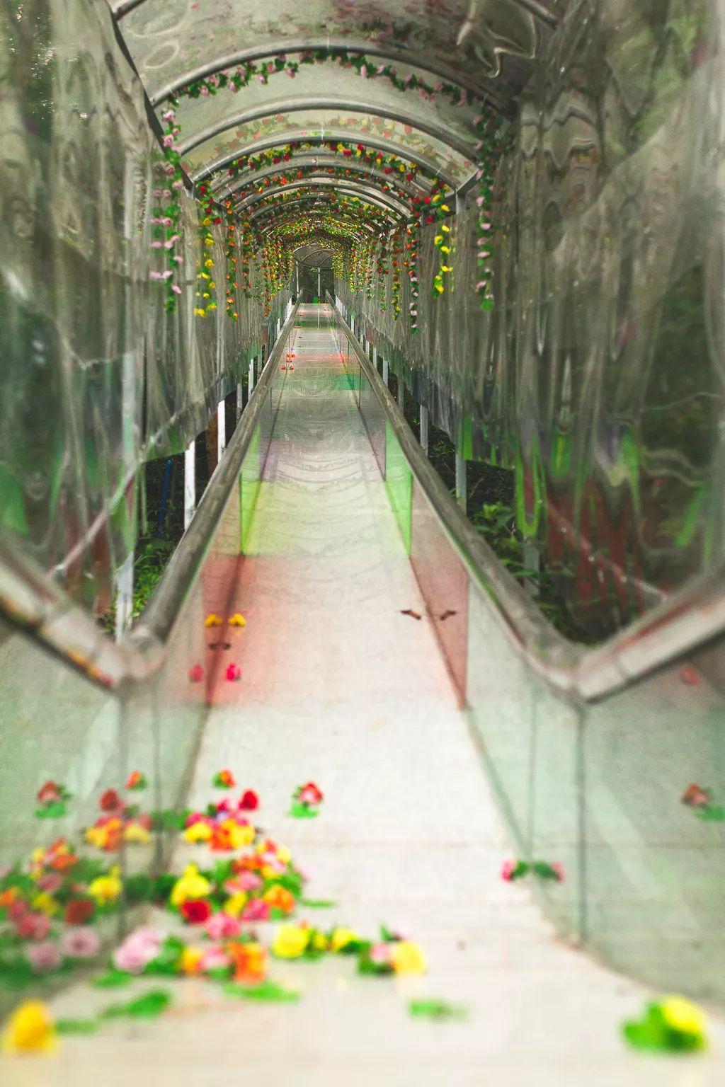 网红玻璃桥悬崖秋千,网红旅游打卡玻璃滑道