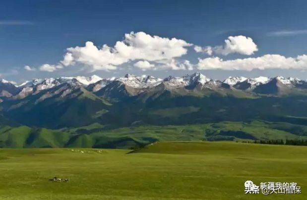 阿拉尔将成为南疆最大的城市,南疆阿拉尔市