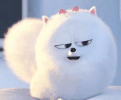 教师资格证要怎么才能拿到,教师资格证认定之后大概多久发证