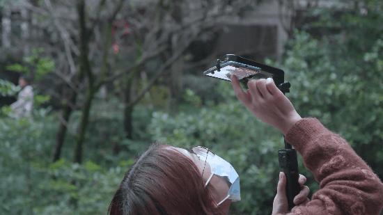 魔爪稳定器mini-mi全景拍摄,魔爪nanose支持机型