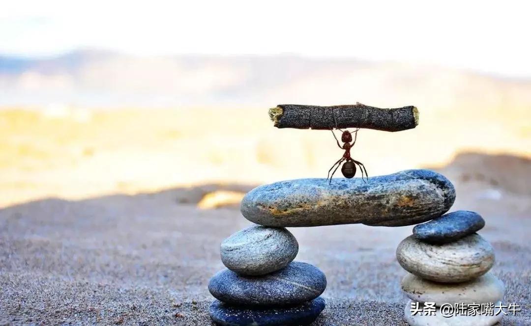 期货新手适合做什么样的交易,怎样成为一个成功的期货交易者