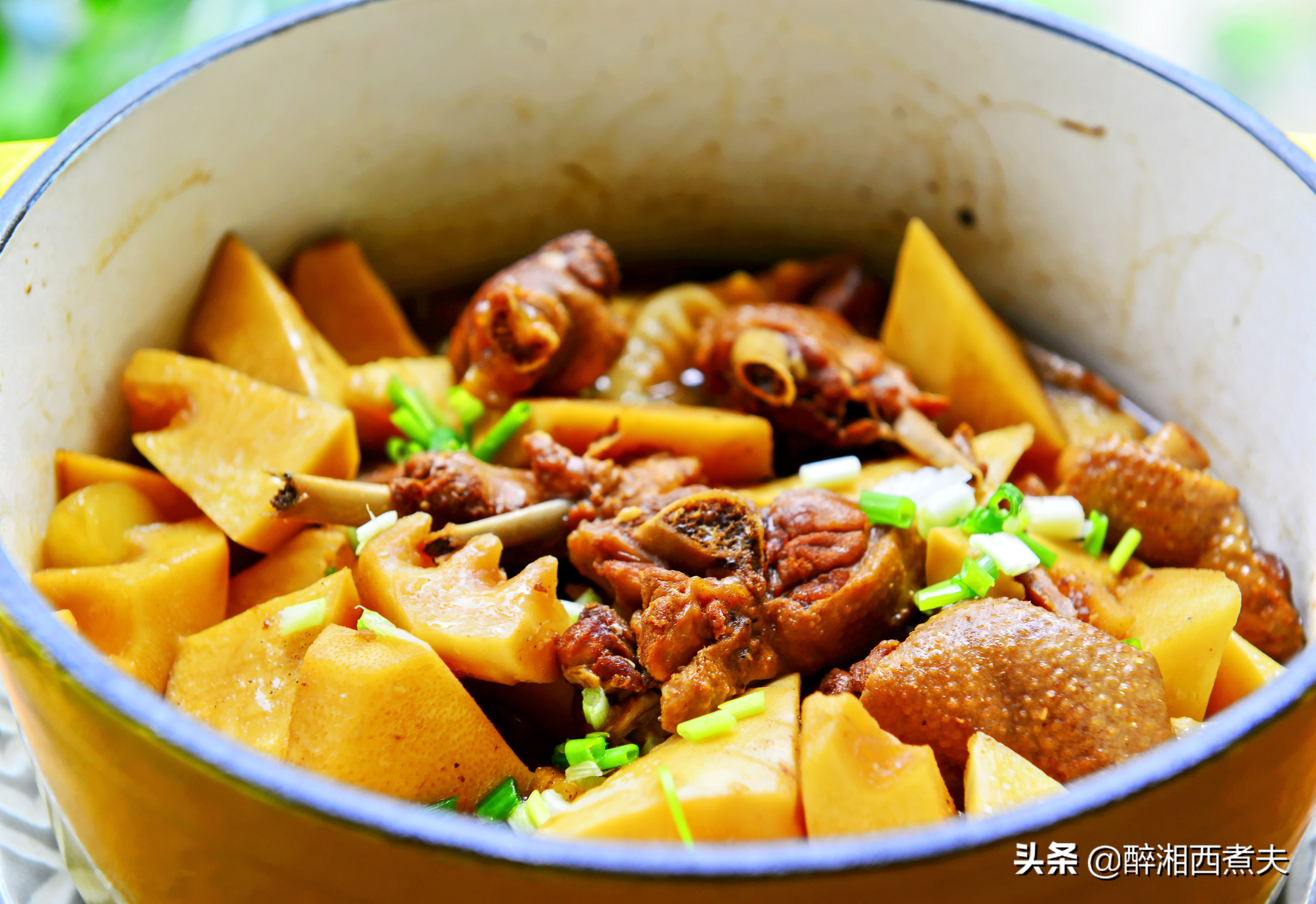 最好的南方竹笋,野生竹笋最好吃的季节