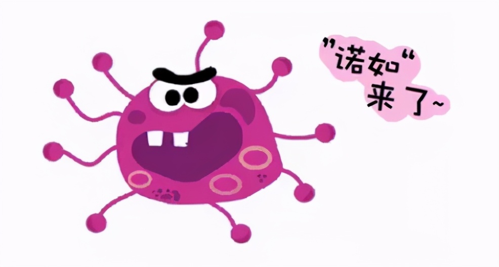 防控诺如病毒学校应该这样做,诺如病毒感染暴发调查和防控指南