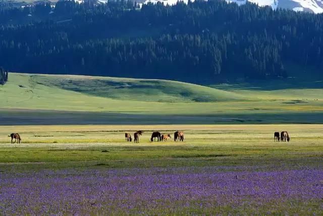 中国最美的100个地方重庆,重庆永川世外桃源