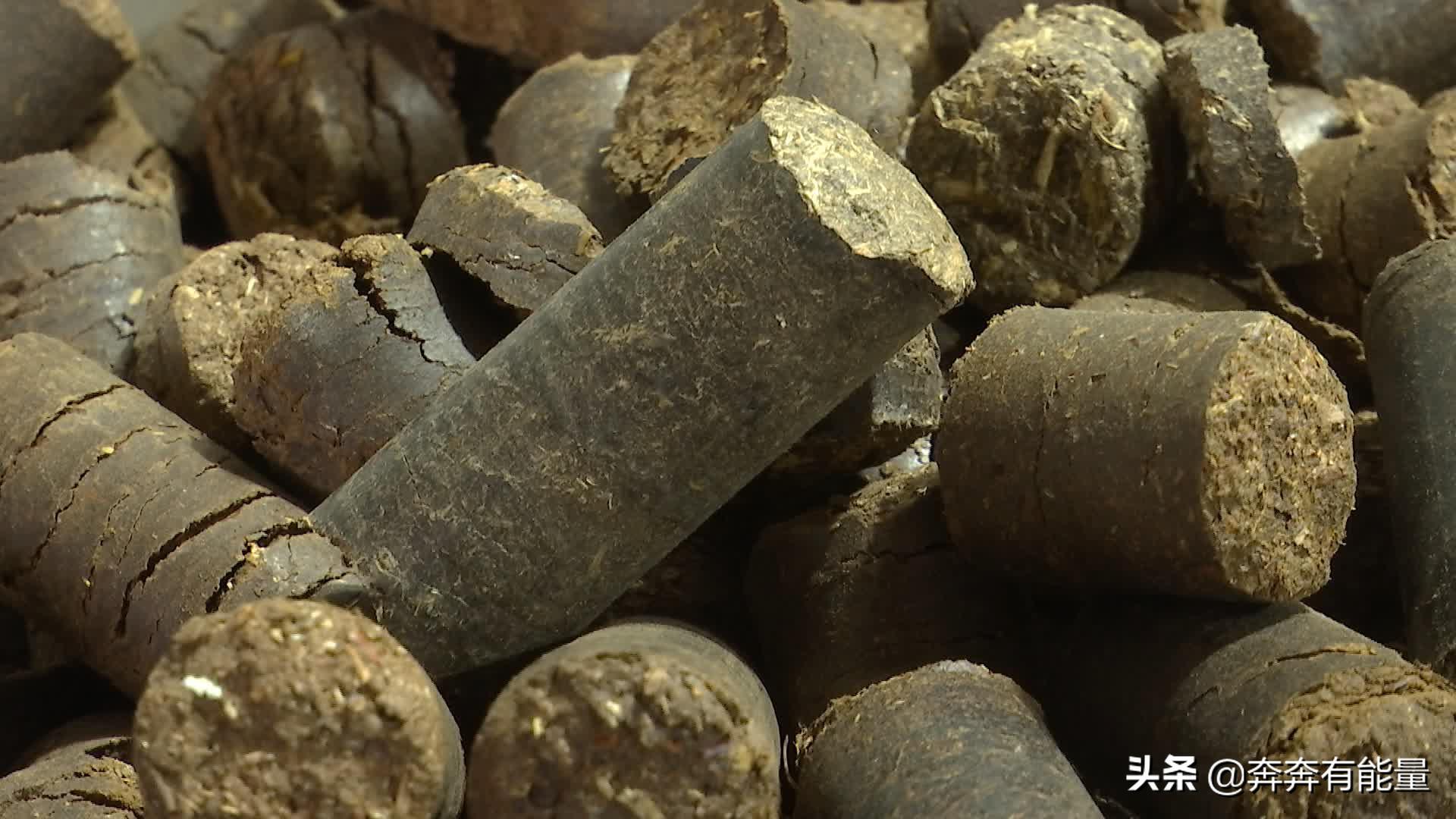 变废为宝发财,农村变废为宝成功案例