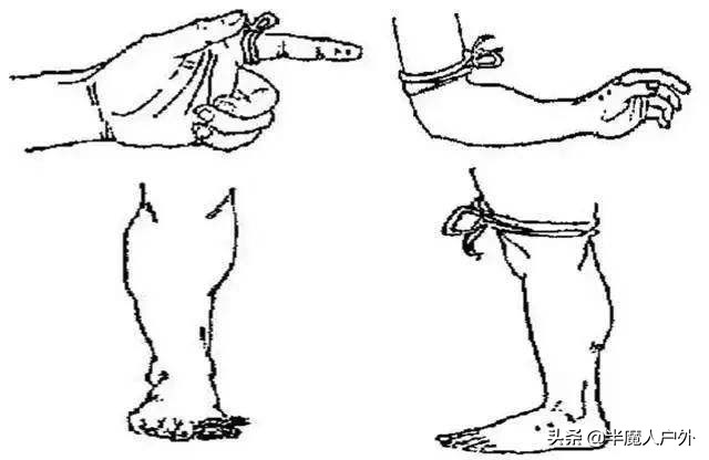 野外生存的知识有哪些,农村常见的蛇类你都认识吗