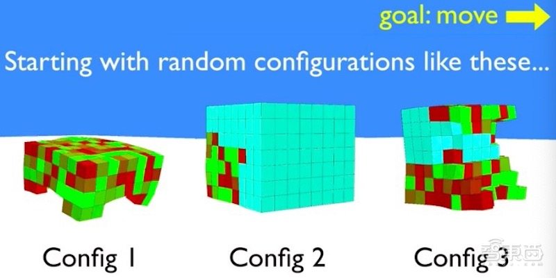 全球首个活体机器人拥有自愈能力,全球首个可繁殖活体机器人问世