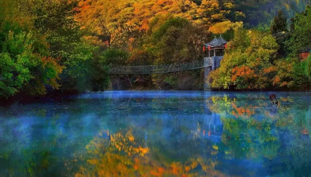 盱眙:你说你喜欢“森系”,而这里就是润肺度假胜地