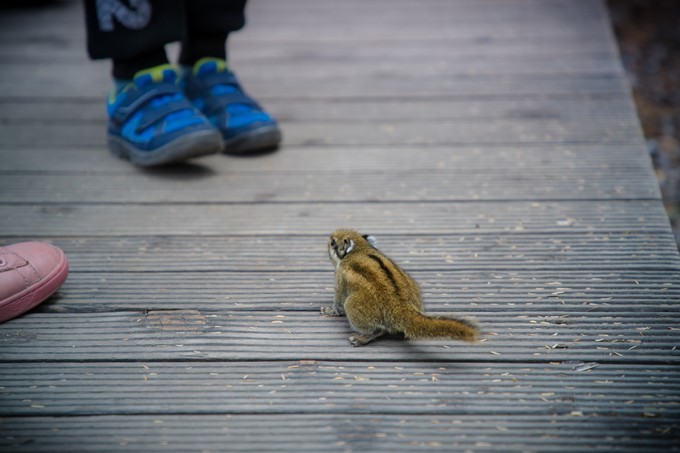 消失的地平线上的“香巴拉”和“女儿国”（二）