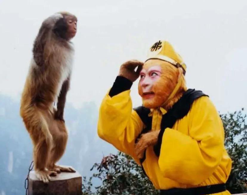 老版真假美猴王之谜,时隔7年重游旧地