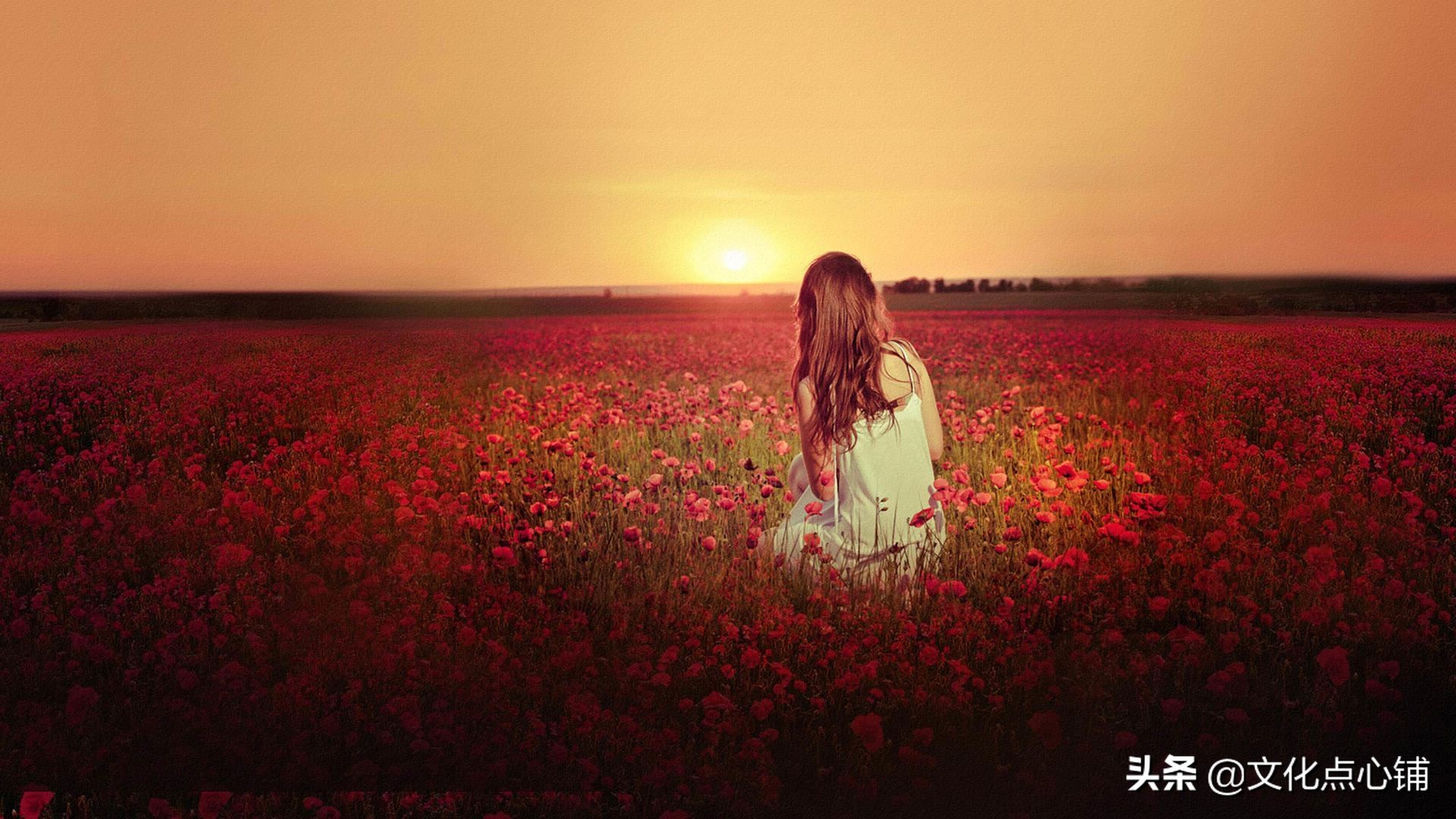 描写孤独的七绝诗经典,十句落寞诗词说尽千年的孤独