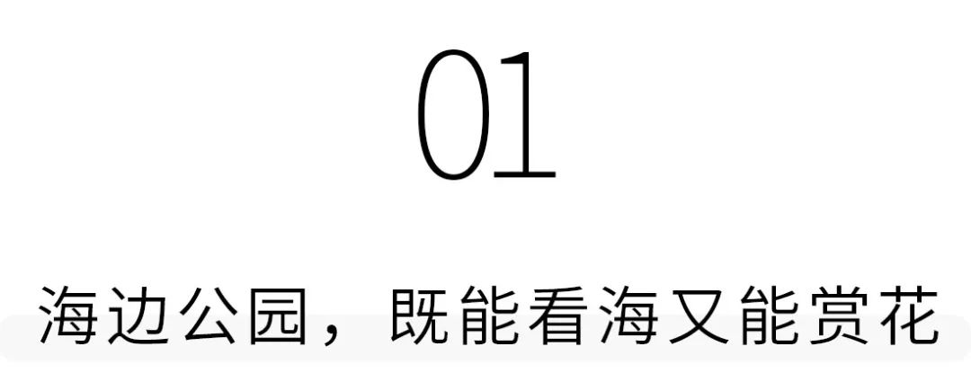 深圳人少的海滨公园,深圳滨海公园怎么样