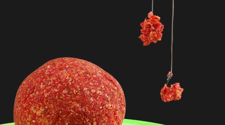 夜钓抛竿老找不准点怎么办,野钓鱼不开口抛竿节奏快还是慢