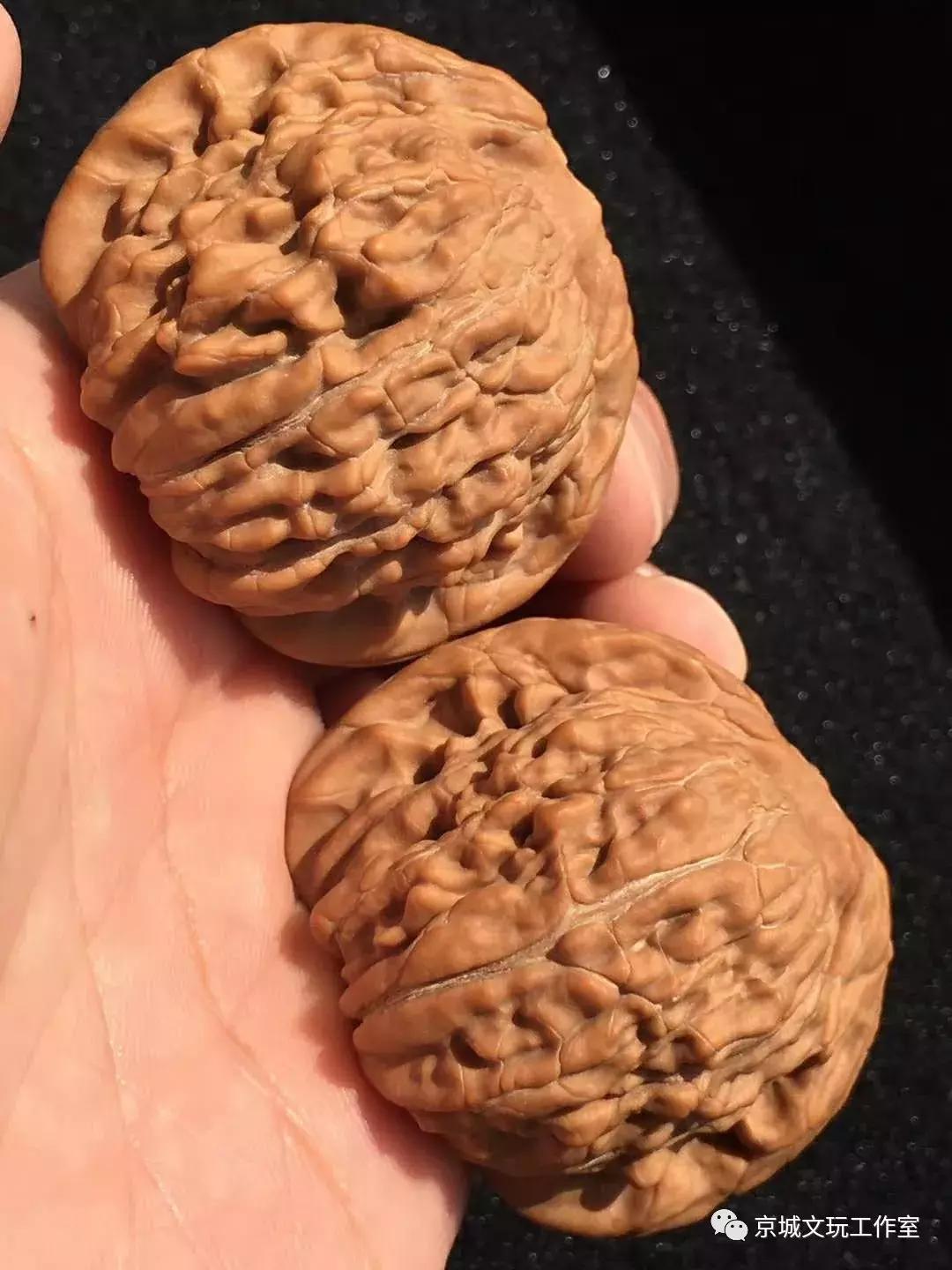 看核桃底部判断核桃真假,看核桃真假