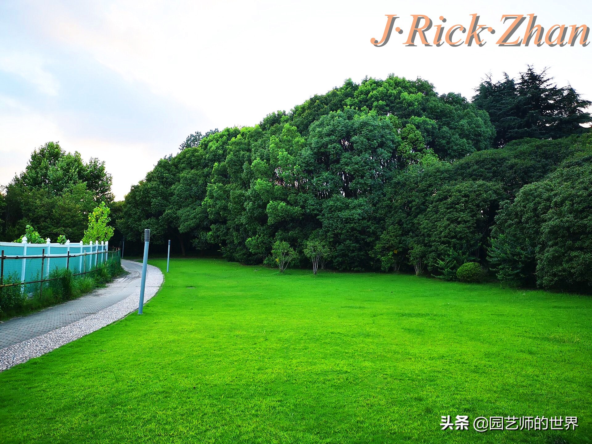 怎样种植草坪技术,果岭草坪的种植养护方法及技巧