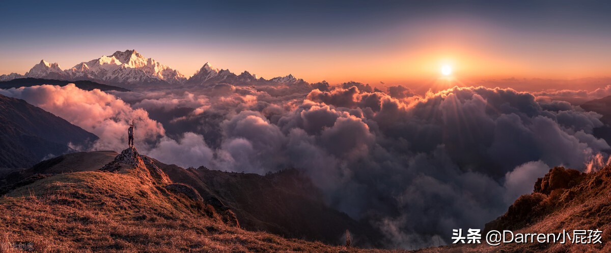 婴儿羊奶粉和宠物羊奶粉的区别,伊利羊奶粉和御宝羊奶粉哪个好
