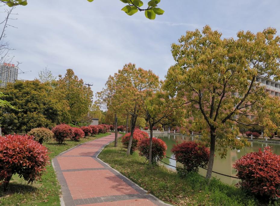 合肥滨湖职业技术学院招生“遇冷”，33个专业没招满，缺额1474人