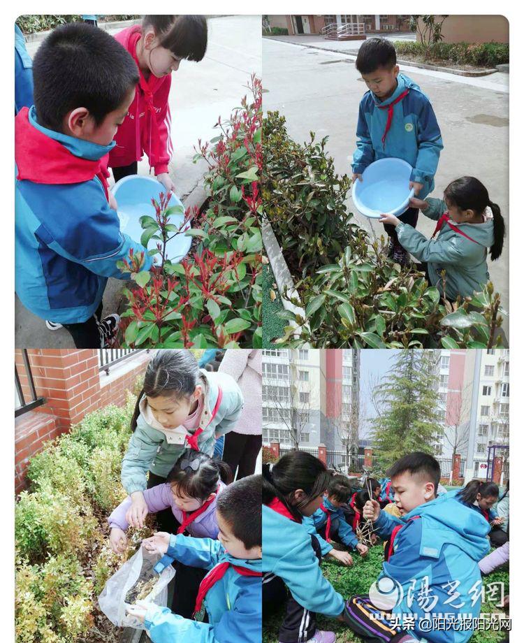 浐灞33小学,浐灞第33小学三年级五班