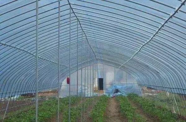小型温室大棚用什么样的大棚,温室大棚和传统大棚的区别