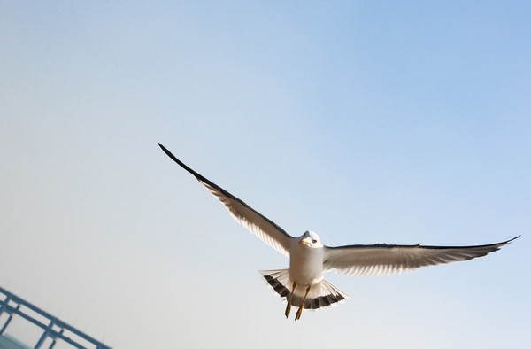 旅居4年,旅居的第四个月