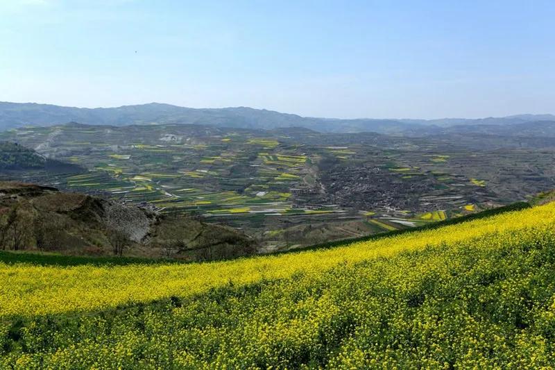 礼县秦皇故里景点,礼县秦文化特产