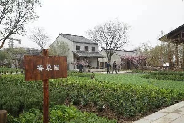 郭亮乡村旅游完整版,郭亮村探访视频