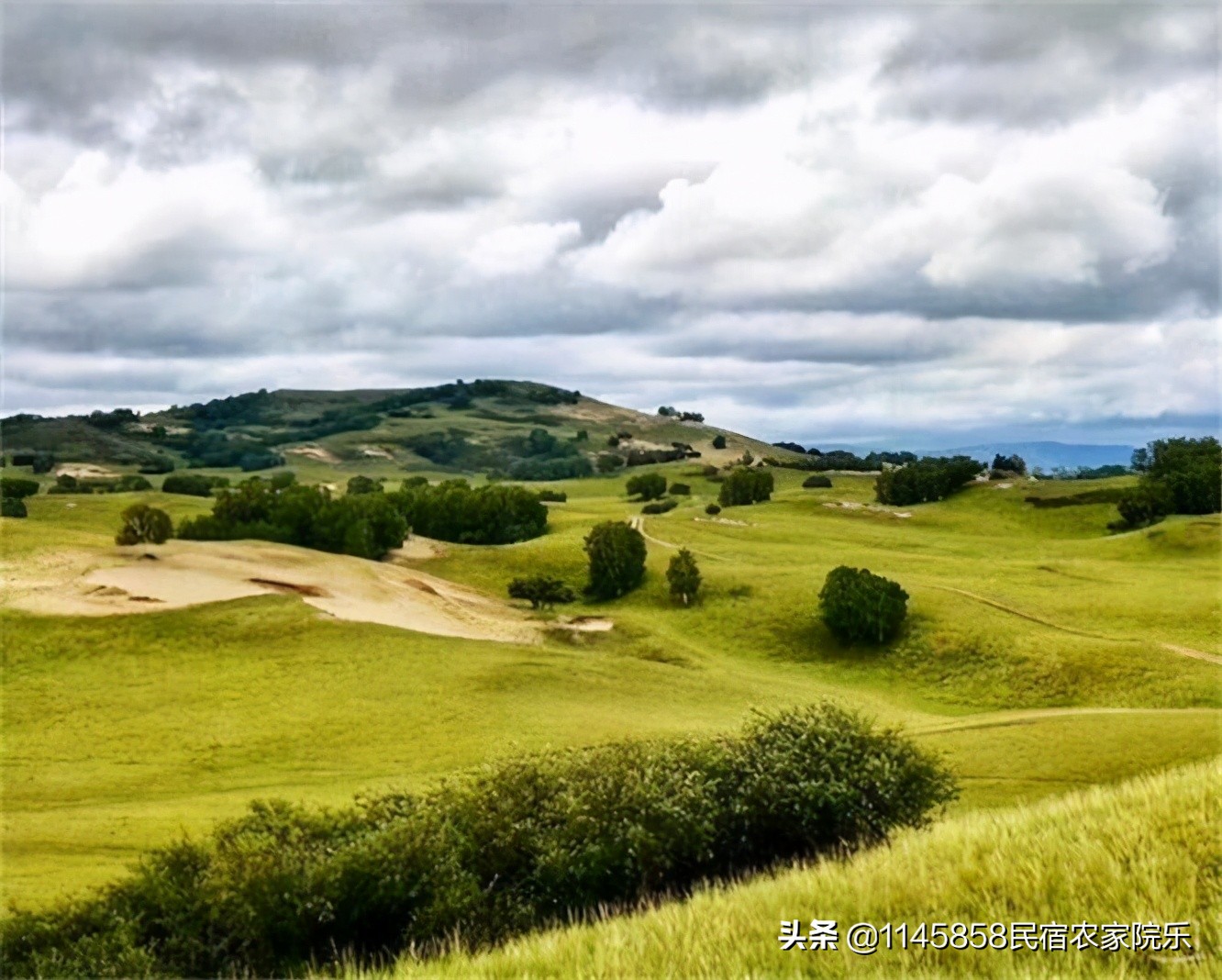 丰宁坝上奶豆腐,承德丰宁坝上友君庄园