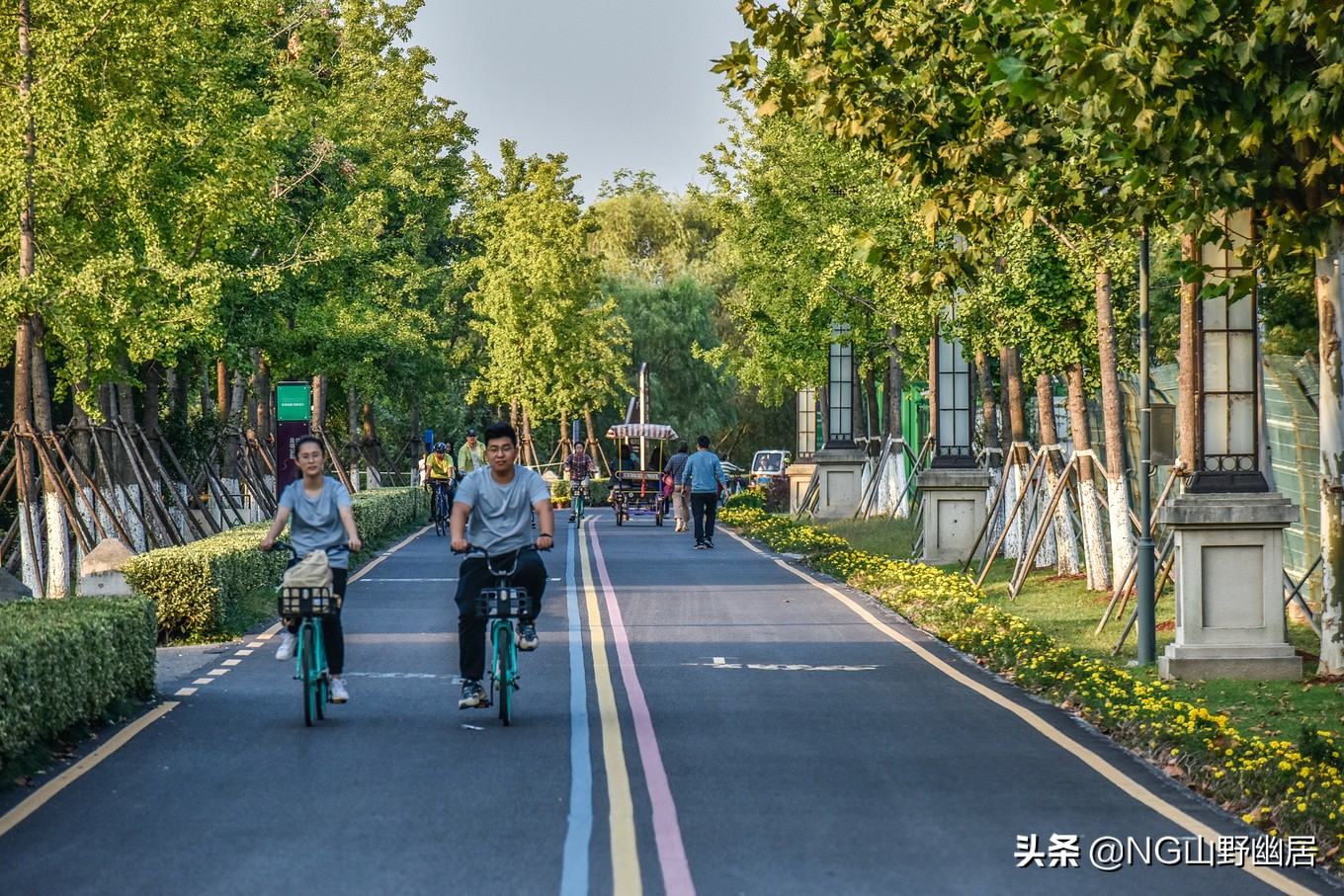 江苏南京:明明可以靠网红上头条,却偏偏靠实力说话