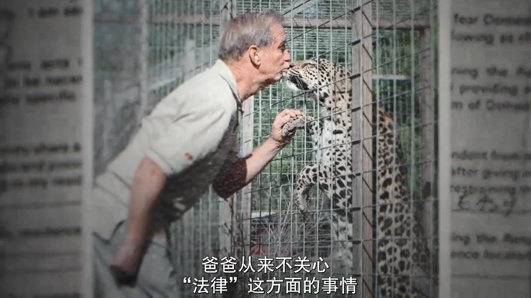 疫情中全美国都在安利这疯子电影