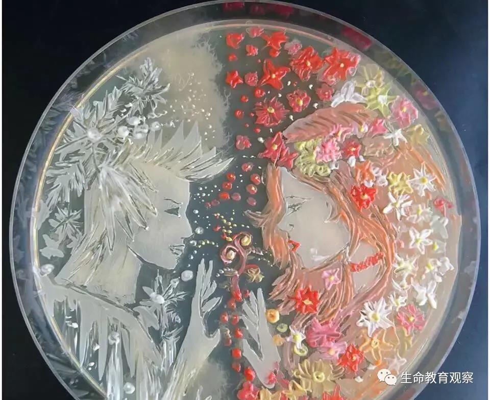 理科男喜欢的七夕礼物,理科男的送的礼物