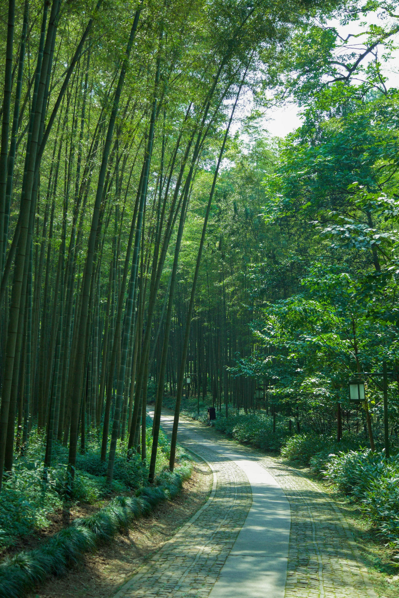 杭州隐藏的小众景点,杭州西湖摄影的最佳位置