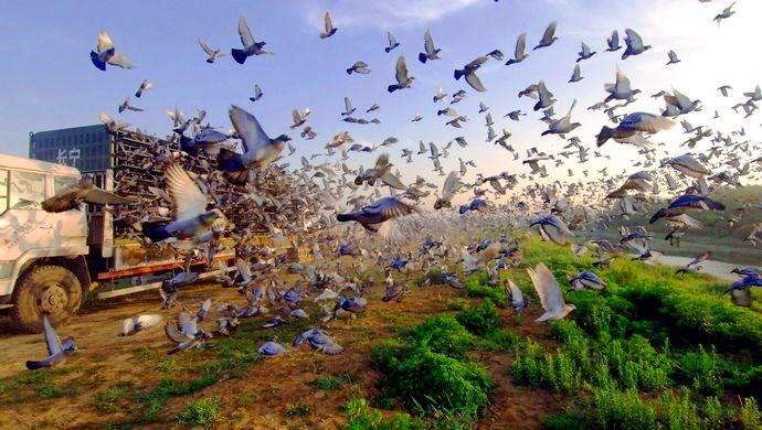 特别烧钱的爱好,不烧钱的爱好都有哪些