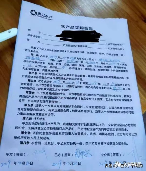 鱼价持续走低养殖户弃养,行情低养殖户怎么办