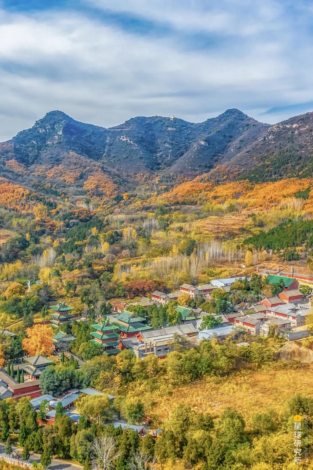 什么是郑州绿城,什么是郑州特产