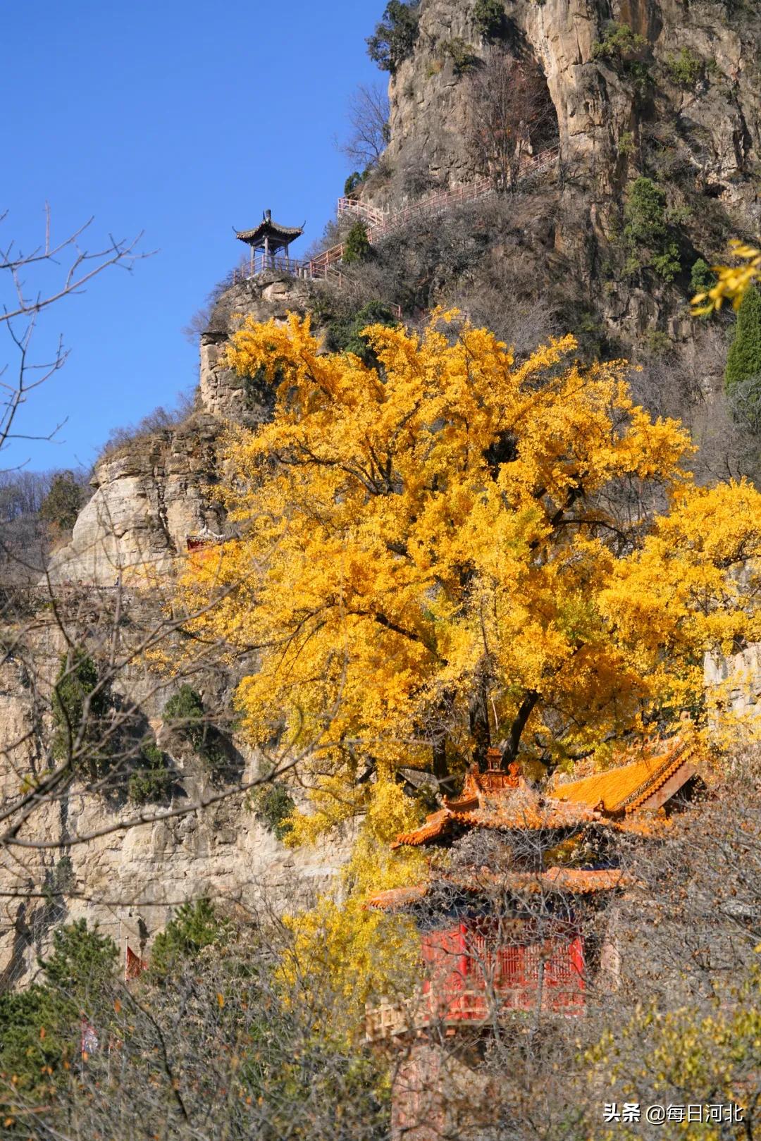 疫情后石家庄人最想说的一句话,疫情后的石家庄会有政策吗