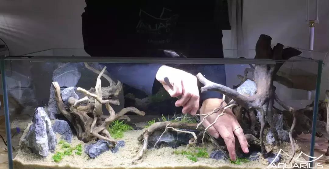 草缸造景教程：这个缸居然能装下一头“犀牛”？