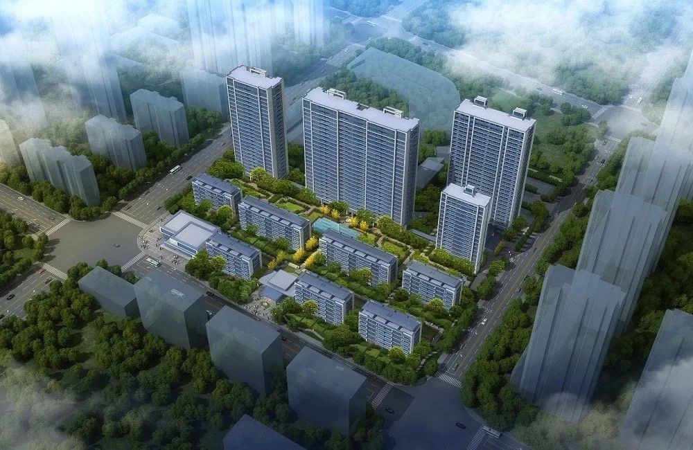 萧山市北西三花争艳未婚女记者翻了谁的牌？丨跑盘Vlog04