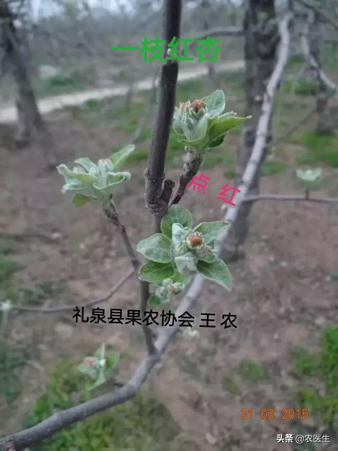 一线实战专家,一线实战导师经验丰富